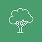 Stadtgrün und Klimaanpassung